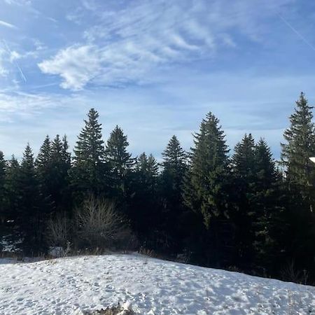 Chamrousse A 50M Des Pistes Appart 4/6 Bagian luar foto